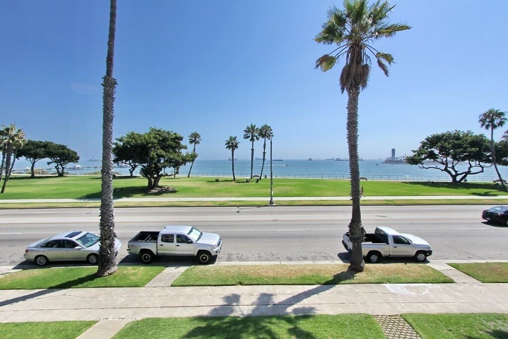Photo of Others in Bluff Park