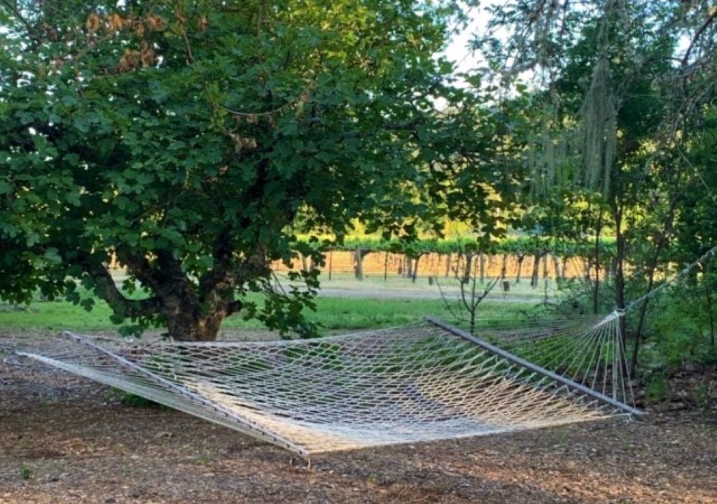 Photo of Others in Calistoga