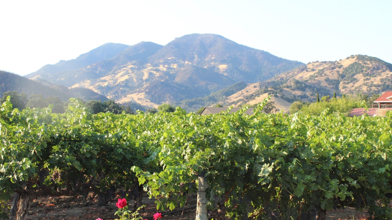 Photo of Others in Calistoga