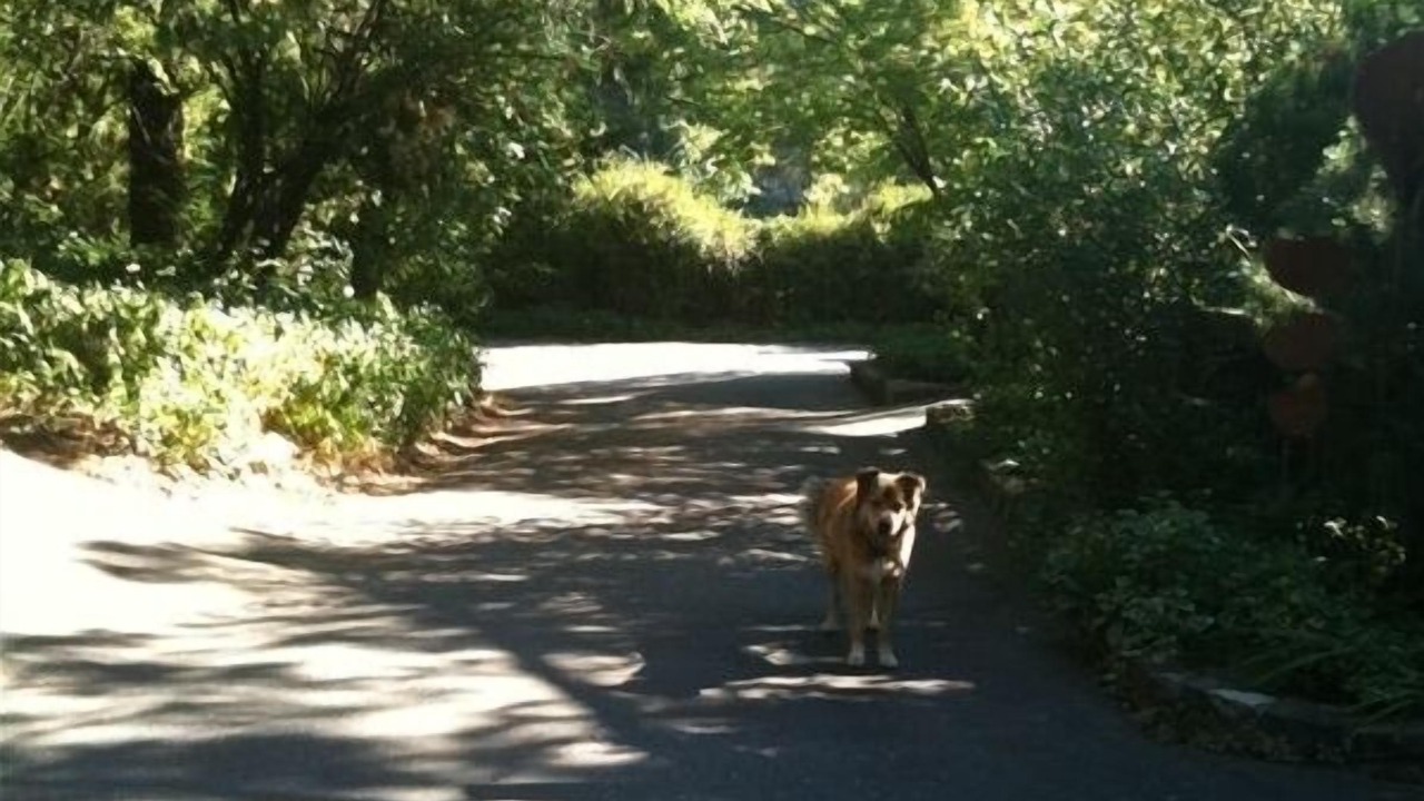 Photo of Others in Nevada City