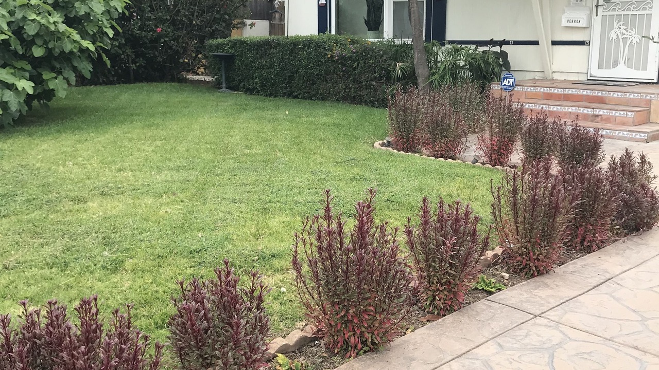 Photo of Outdoor in Imperial Beach