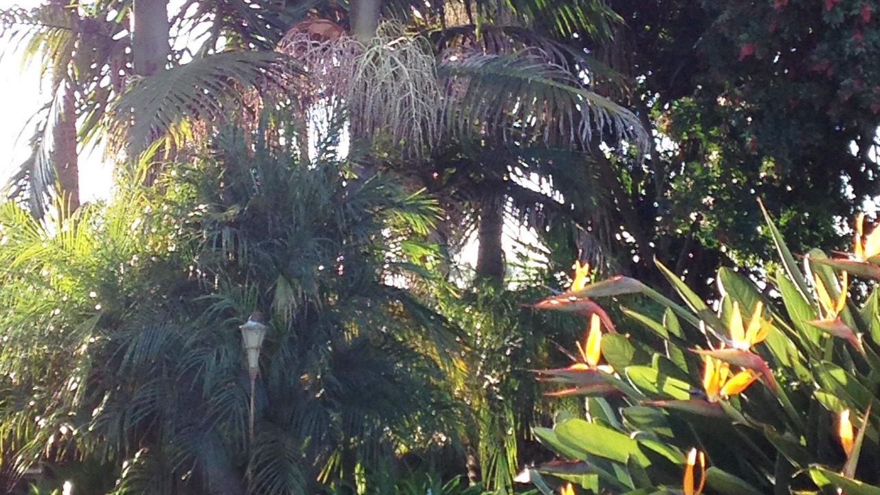 Photo of Outdoor in Imperial Beach