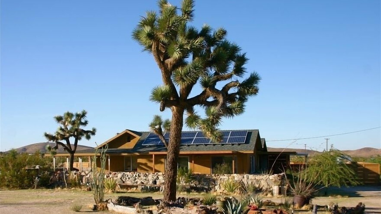 Photo of Others in Joshua Tree