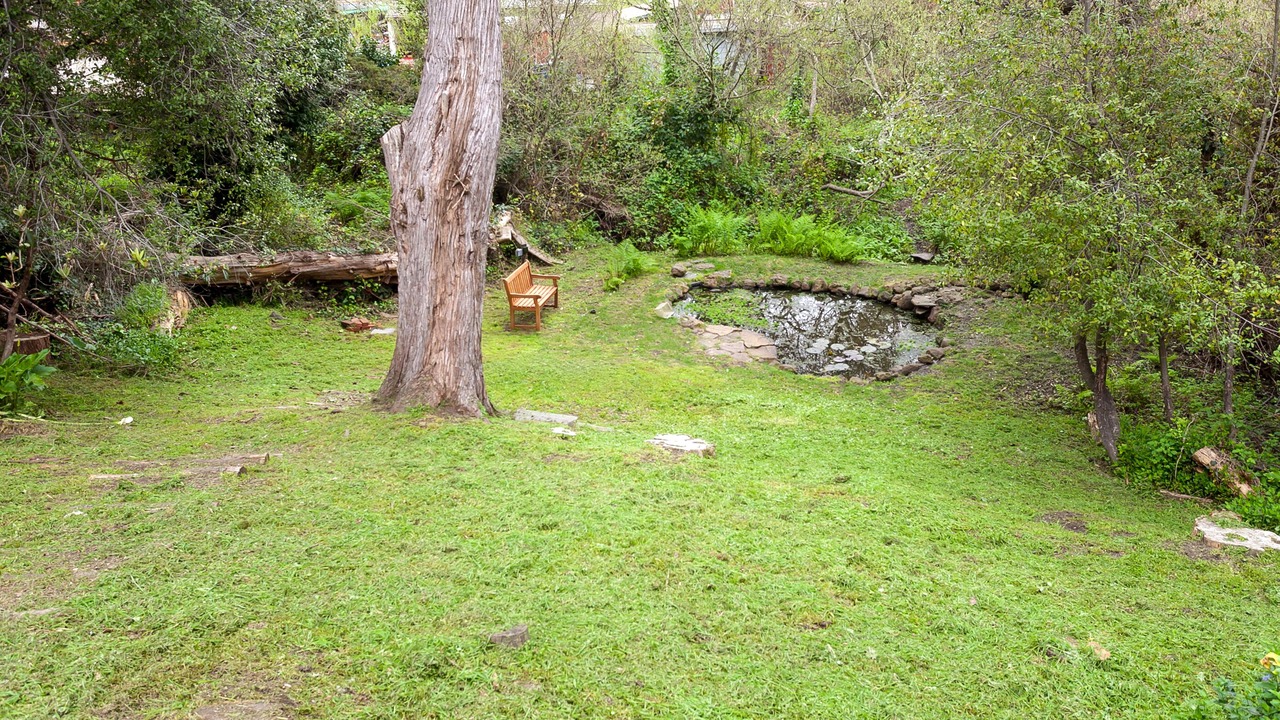 Photo of Outdoor in Bolinas