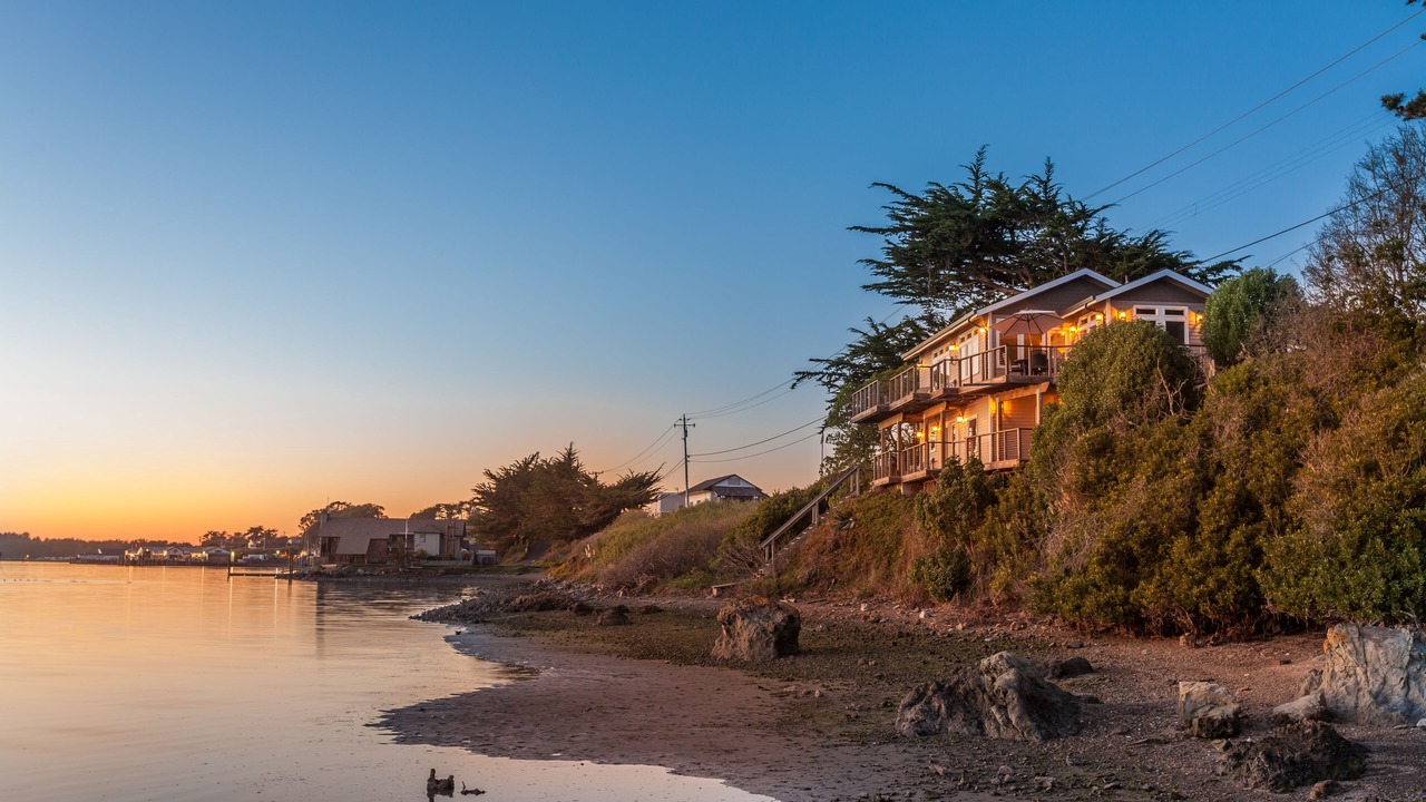 Photo of Others in Bodega Bay