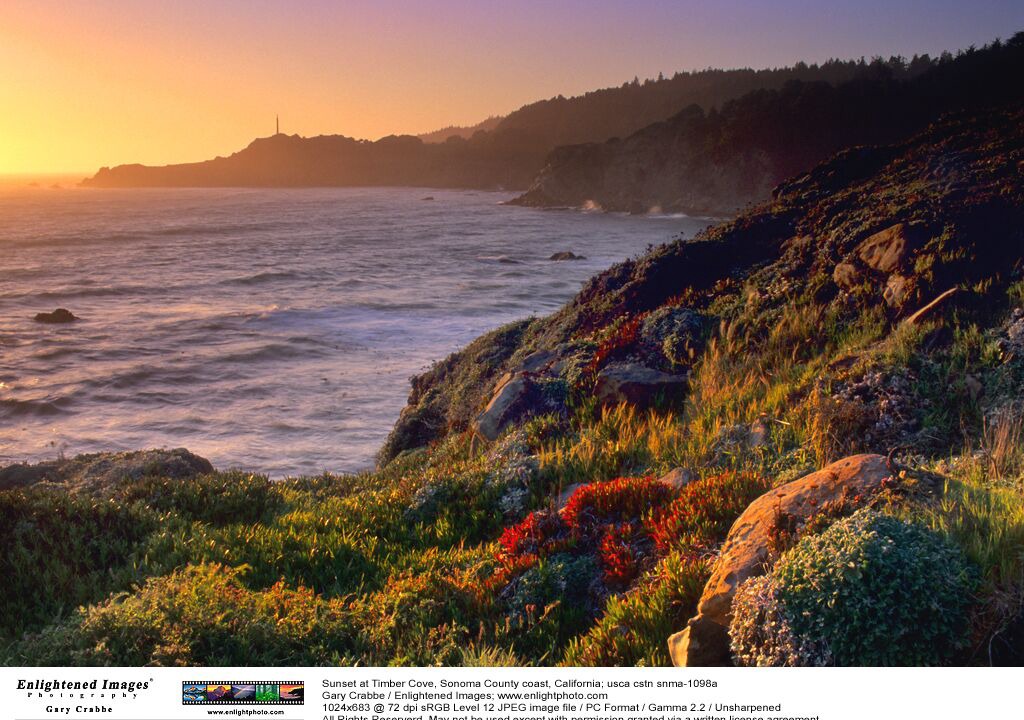 Photo of Others in Bodega Bay