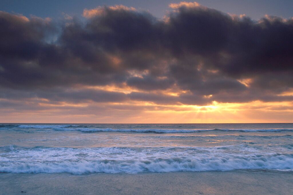 Photo of Others in Bodega Bay