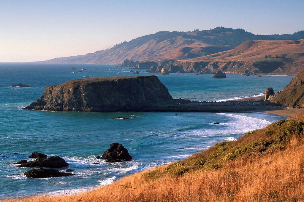 Photo of Others in Bodega Bay