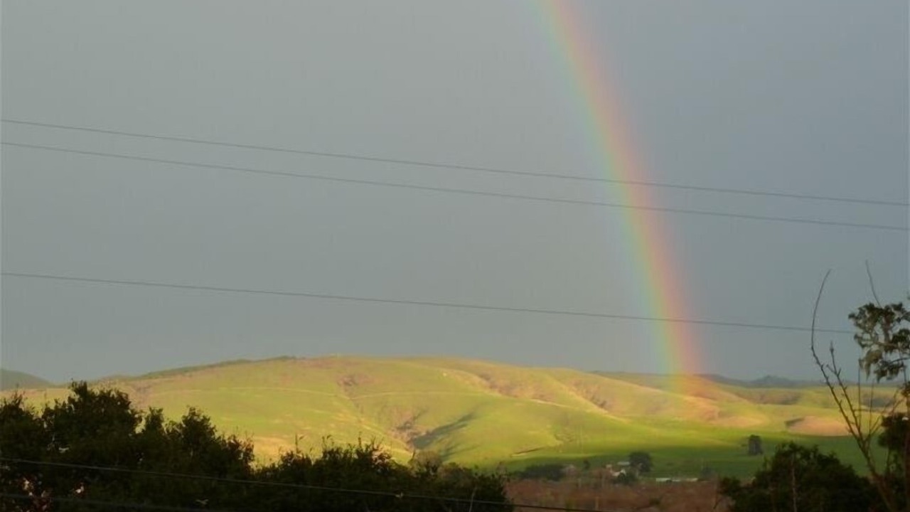 Photo of Others in Point Reyes Station