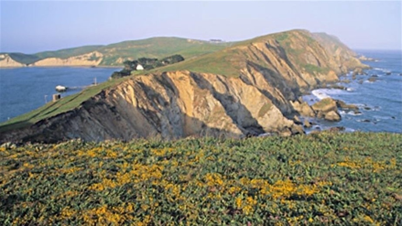 Photo of Others in Point Reyes Station