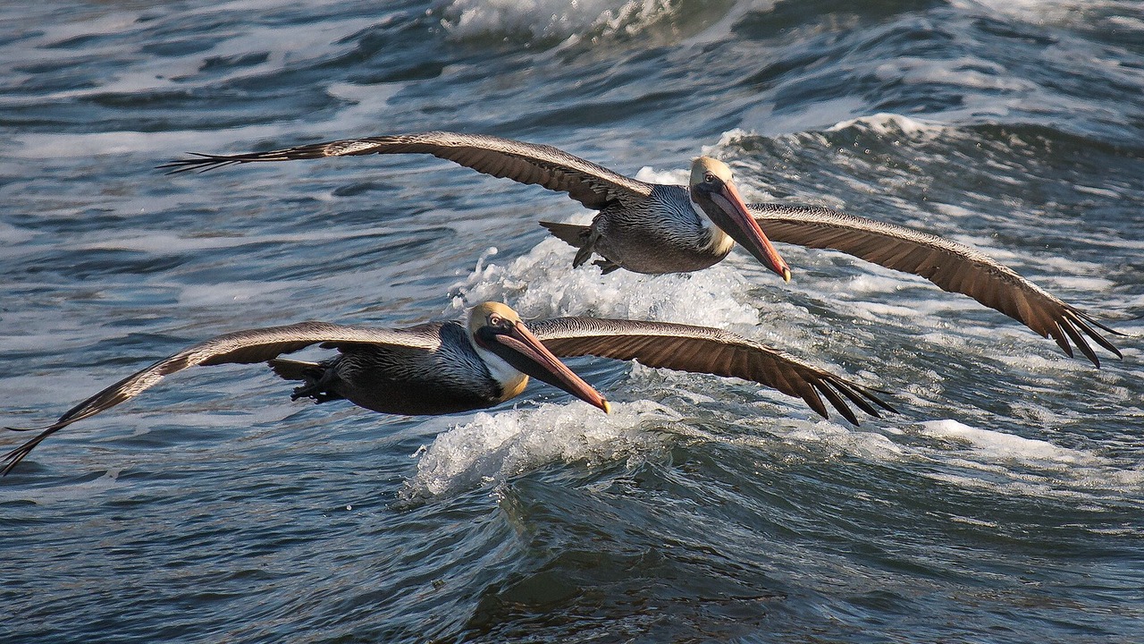 Photo of Others in Faria Beach