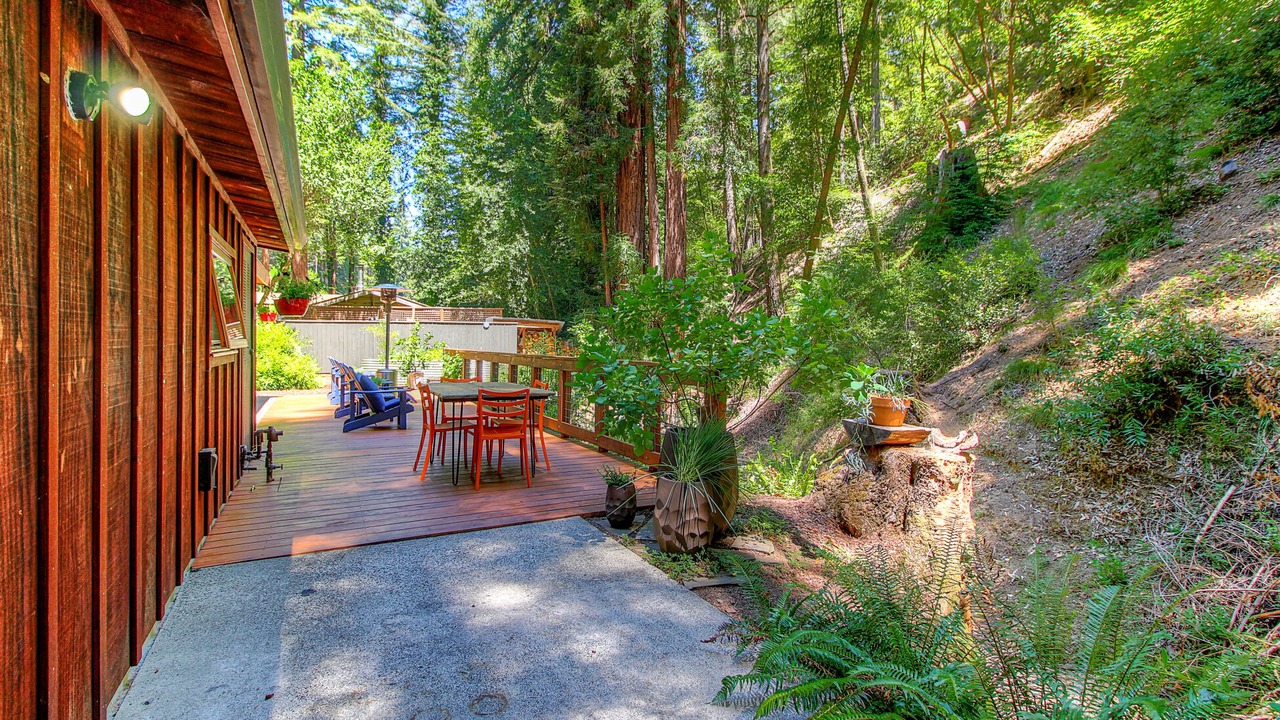 Photo of Outdoor in Forestville