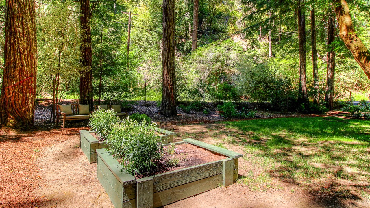 Photo of Outdoor in Forestville