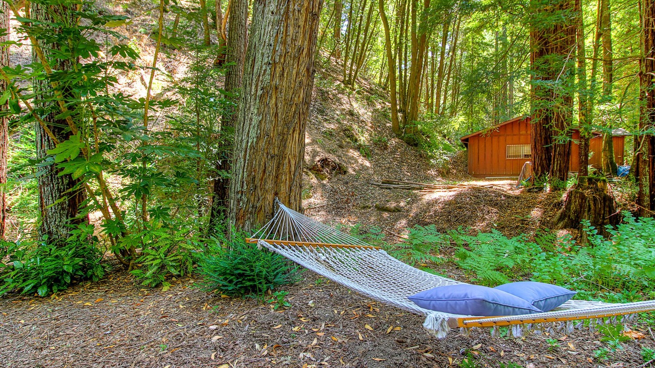 Photo of Outdoor in Forestville