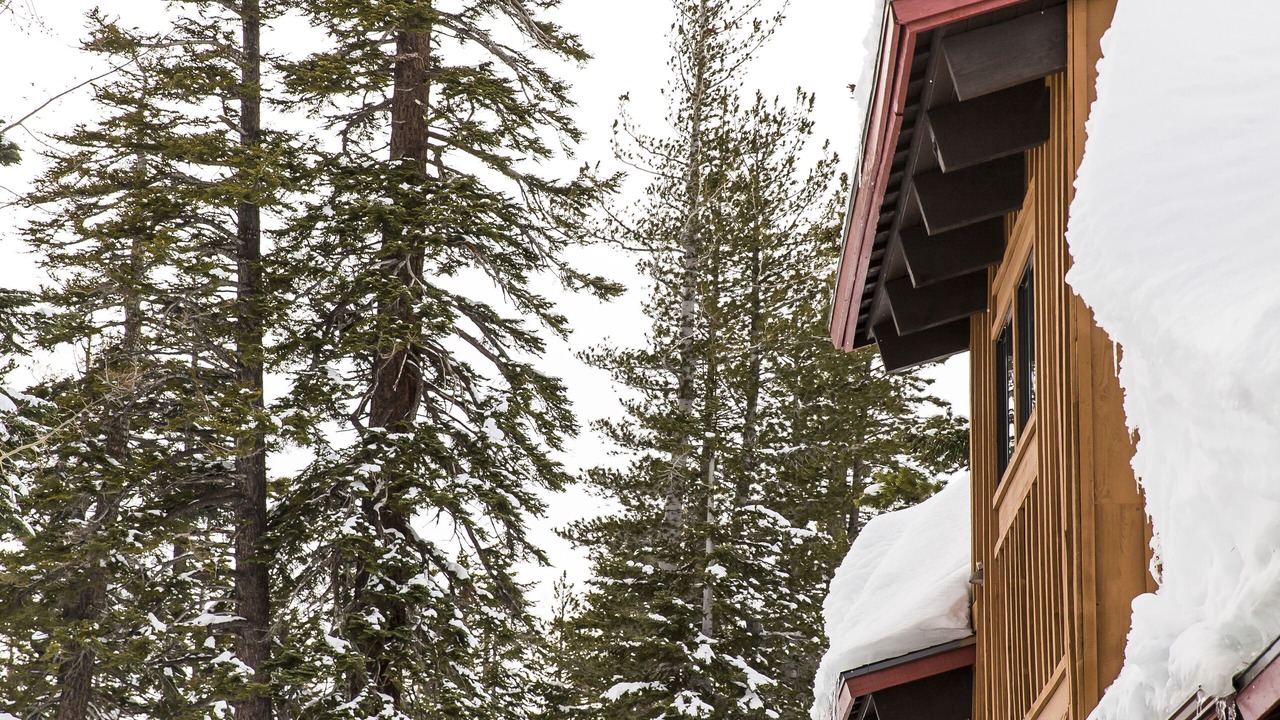 Photo of Others in Mammoth Lakes