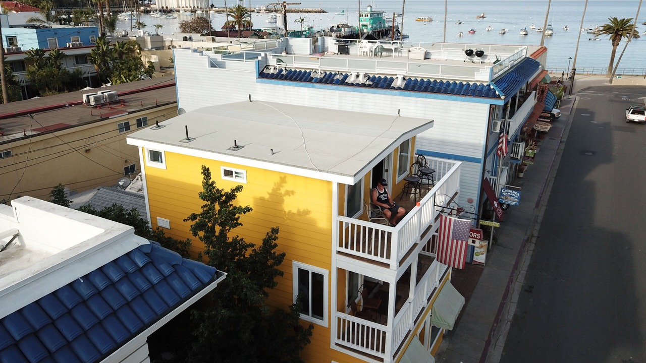 Photo of Others in Avalon
