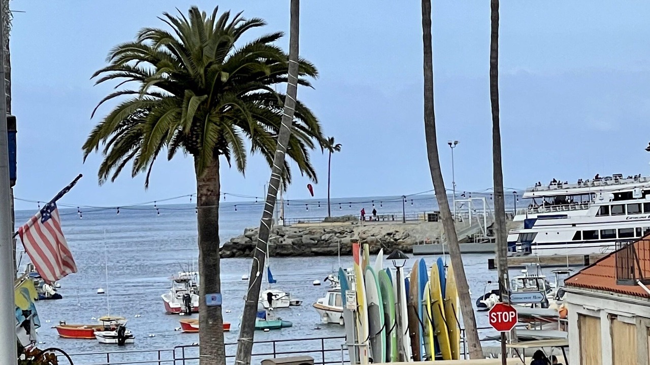 Photo of Others in Avalon