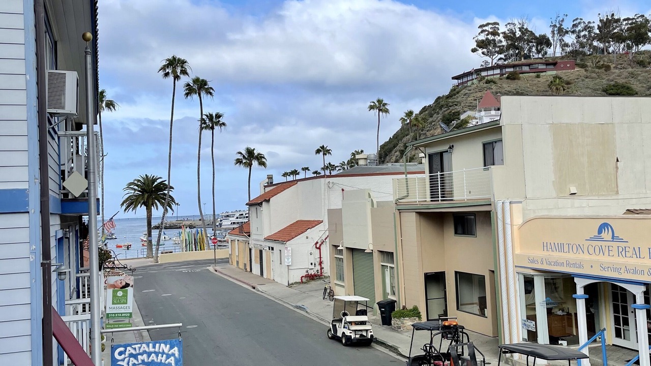 Photo of Others in Avalon
