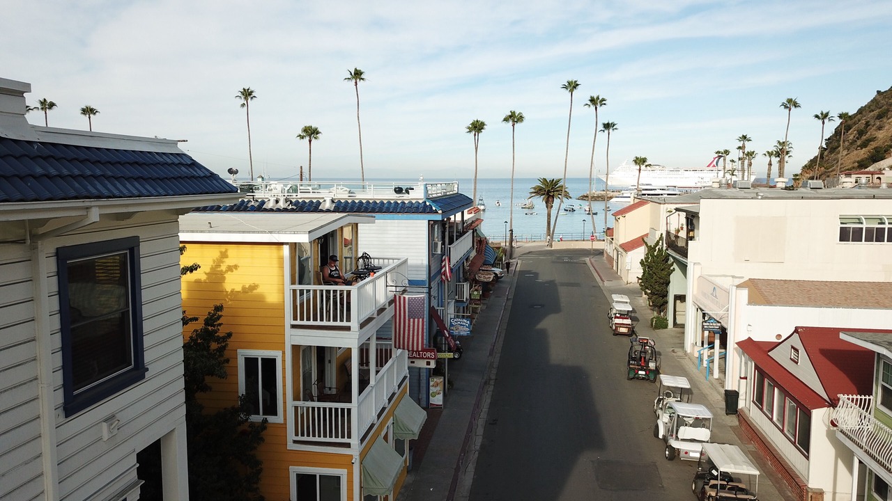 Photo of Others in Avalon