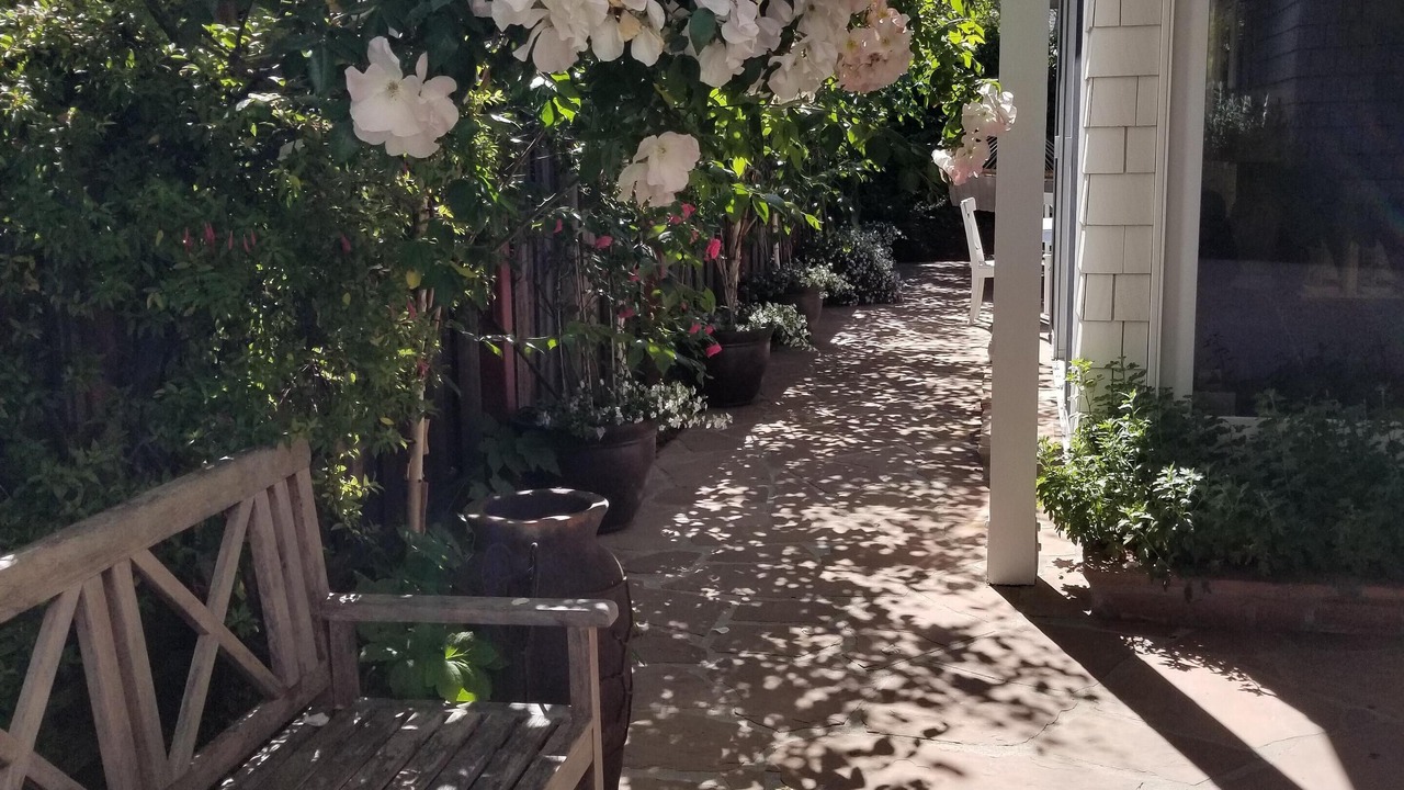 Photo of Outdoor in Eastside Santa Cruz