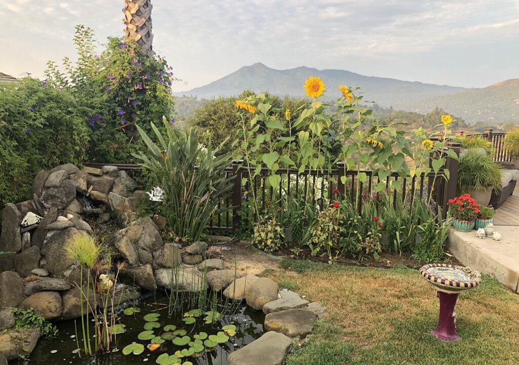 Photo of Outdoor in San Rafael