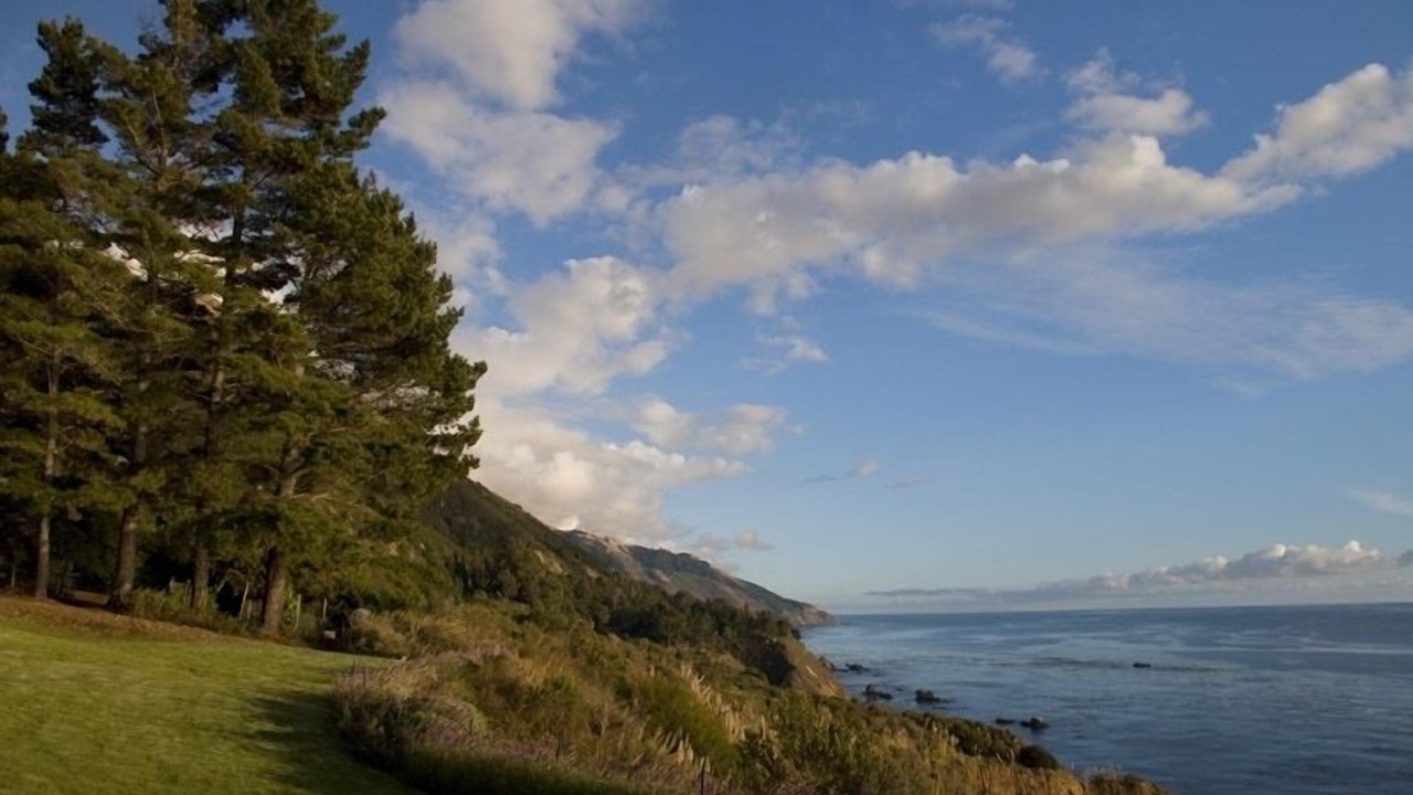 Photo of Others in Big Sur
