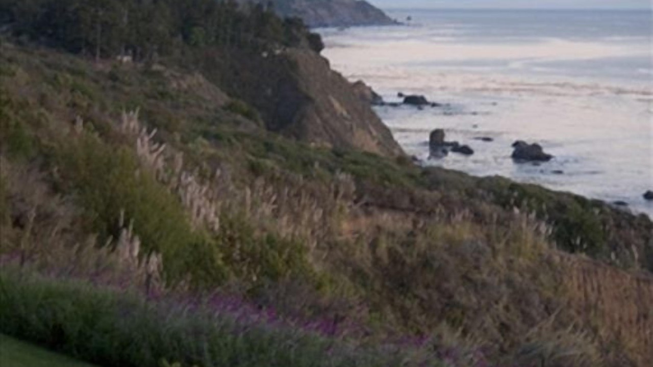 Photo of Others in Big Sur