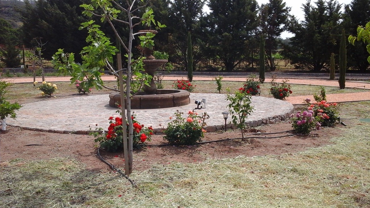 Photo of Outdoor in Pope Valley