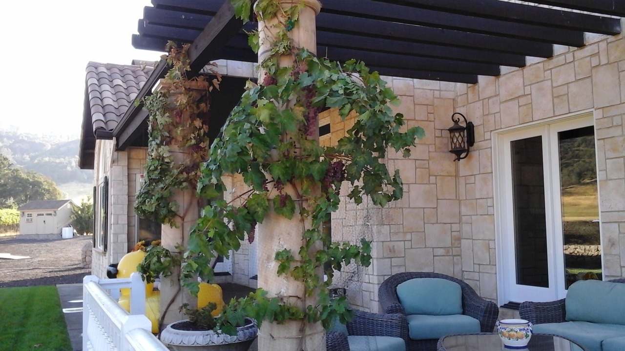 Photo of Patio Balcony in Pope Valley
