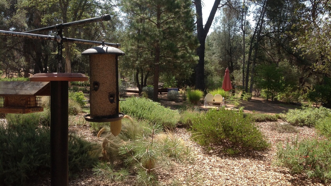 Photo of Others in Oakhurst