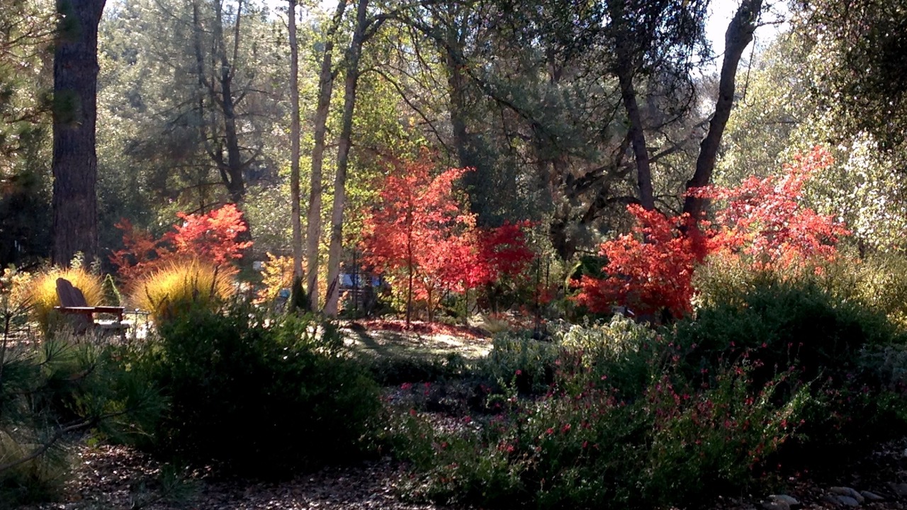 Photo of Others in Oakhurst