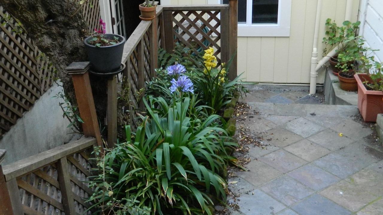 Photo of Outdoor in Noe Valley