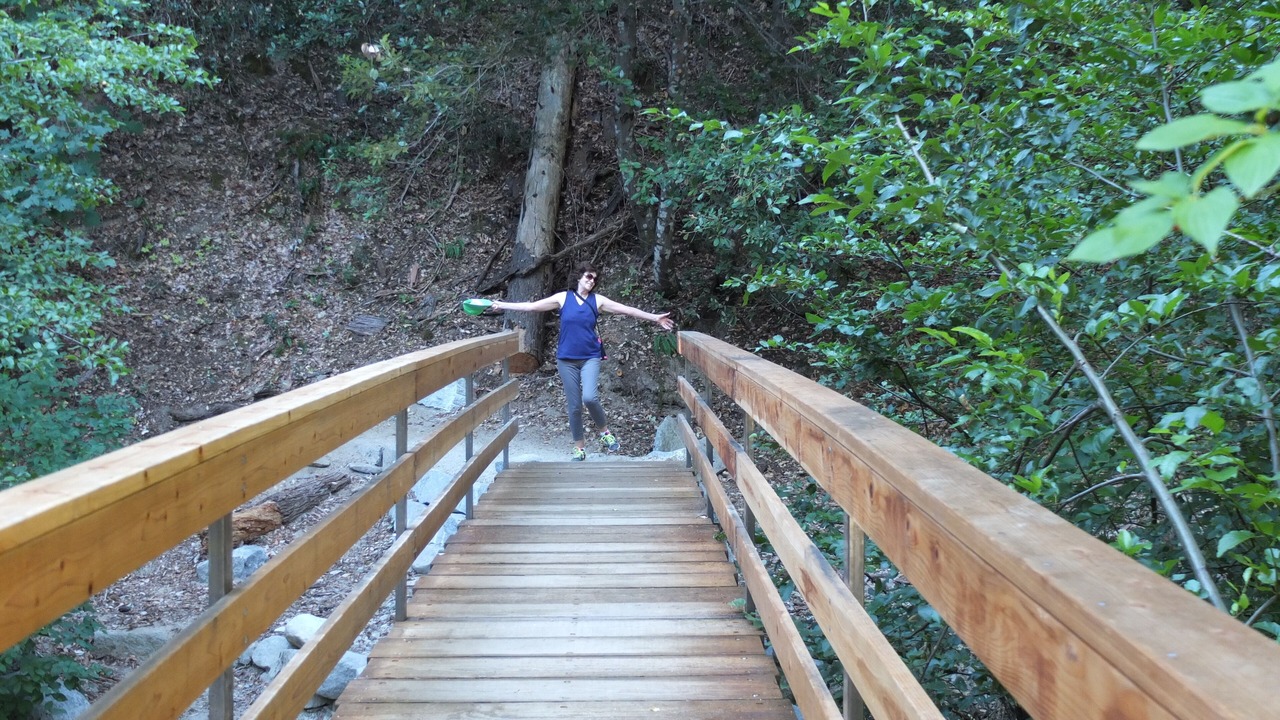 Photo of Others in Shasta