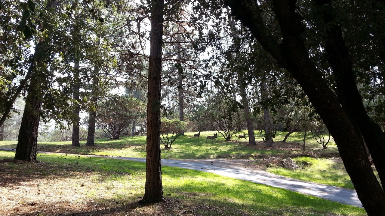 Photo of Others in Mariposa