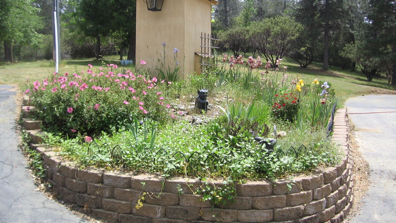 Photo of Outdoor in Mariposa
