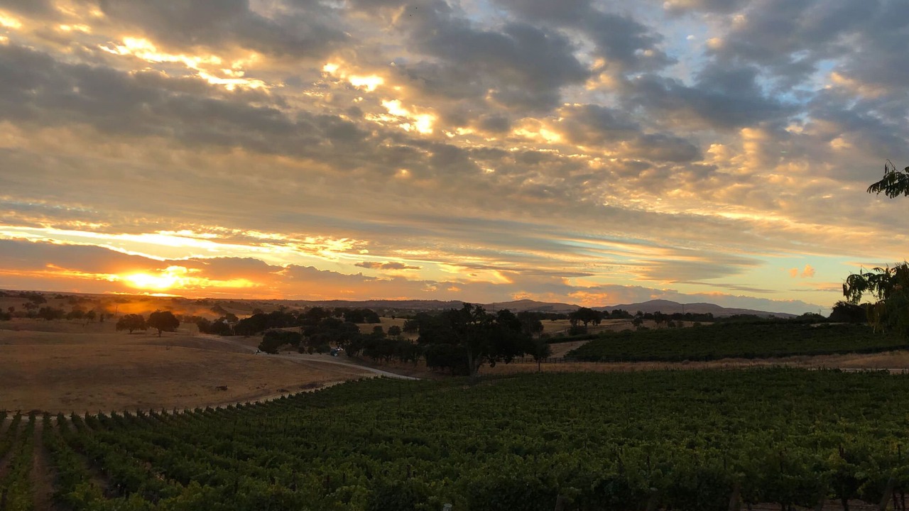 Photo of Outdoor in Paso Robles
