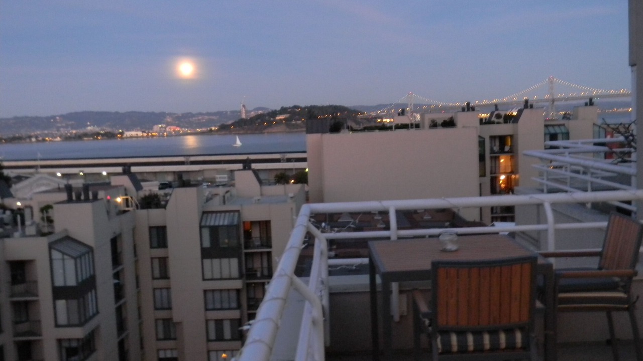 Photo of Others in Telegraph Hill