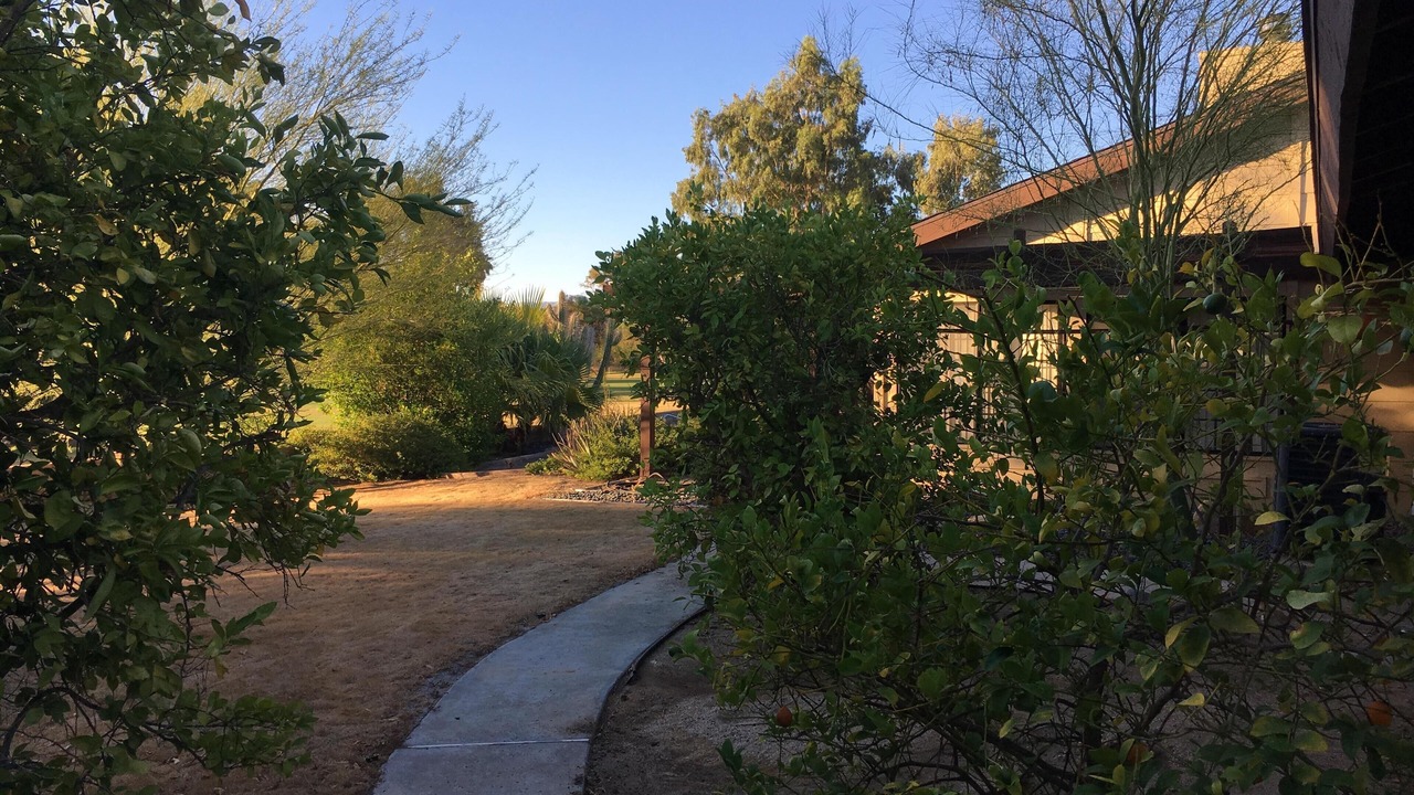 Photo of Outdoor in Borrego Springs