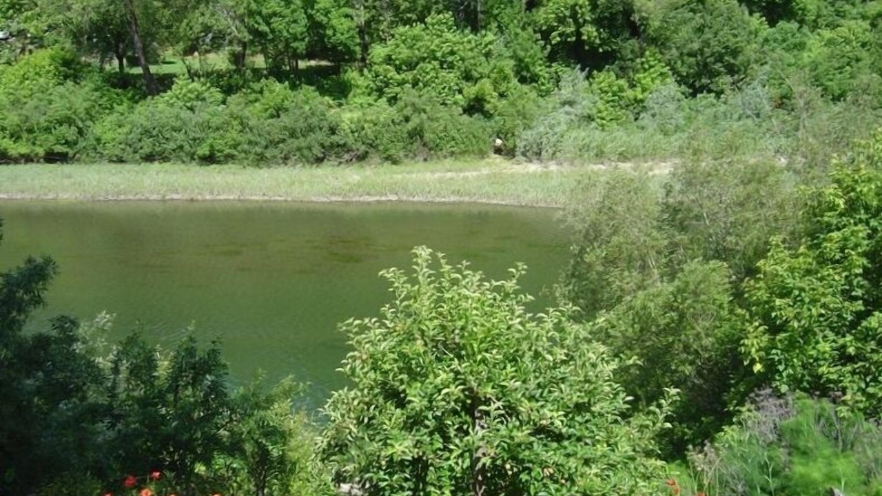 Photo of Others in Monte Rio