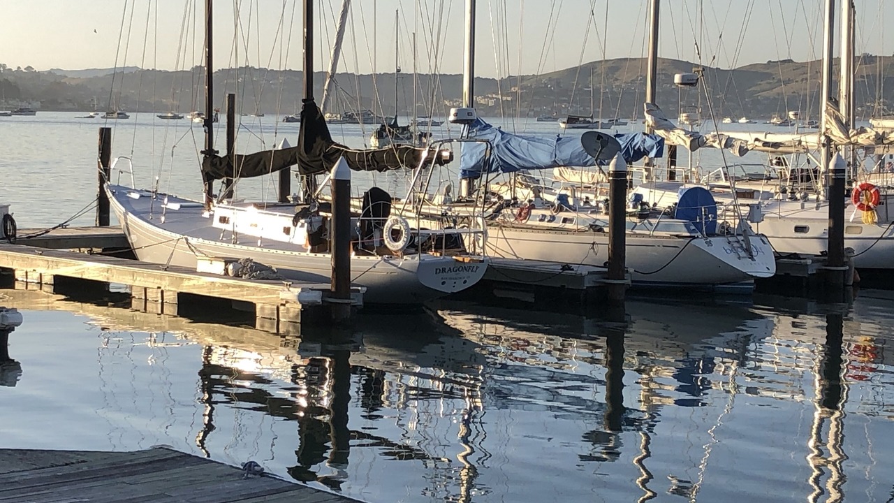 Photo of Others in Marin City