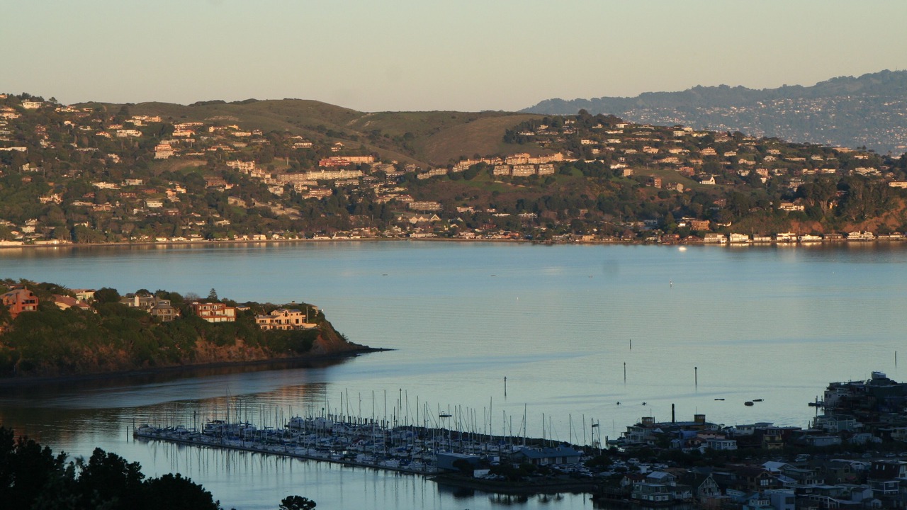 Photo of Others in Marin City