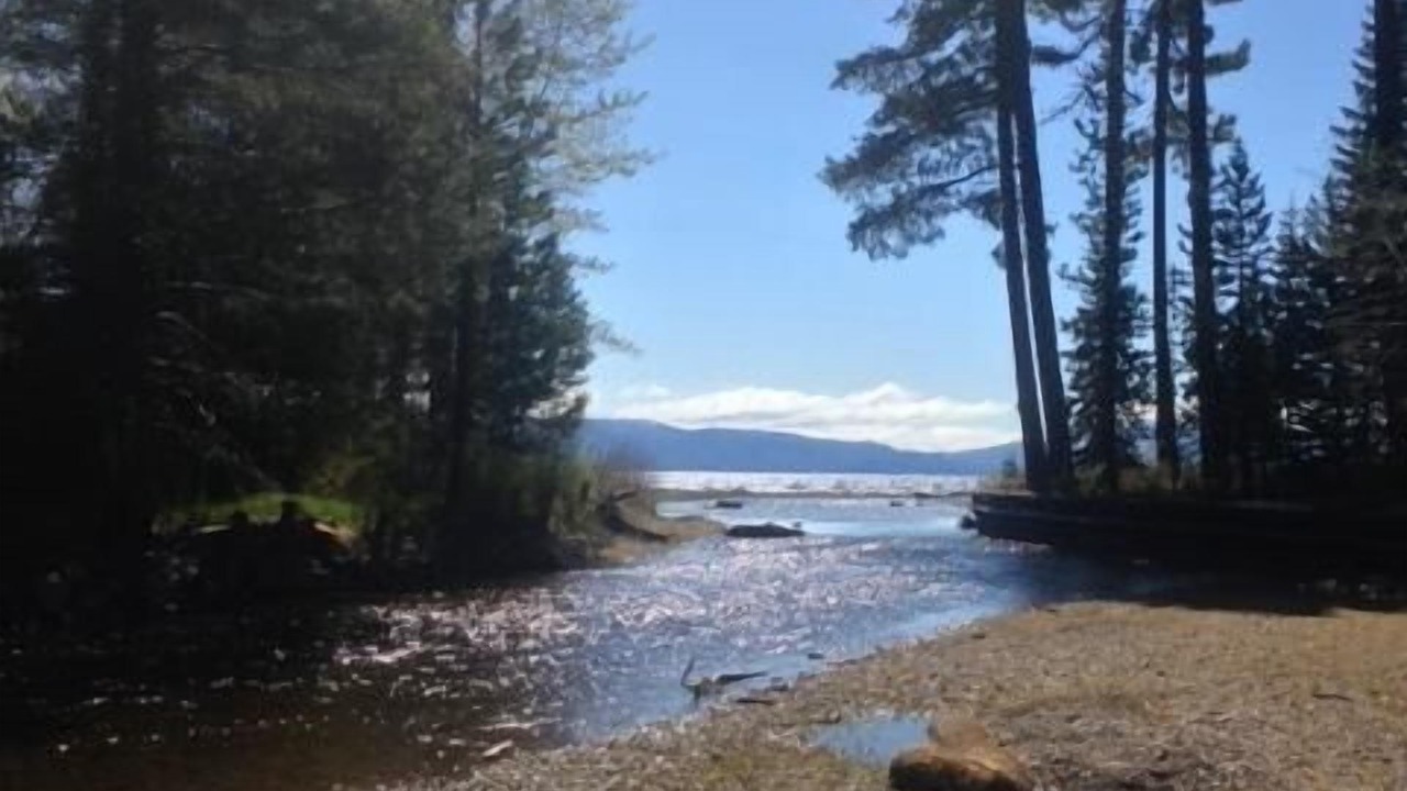 Photo of Outdoor in Tahoe Pines