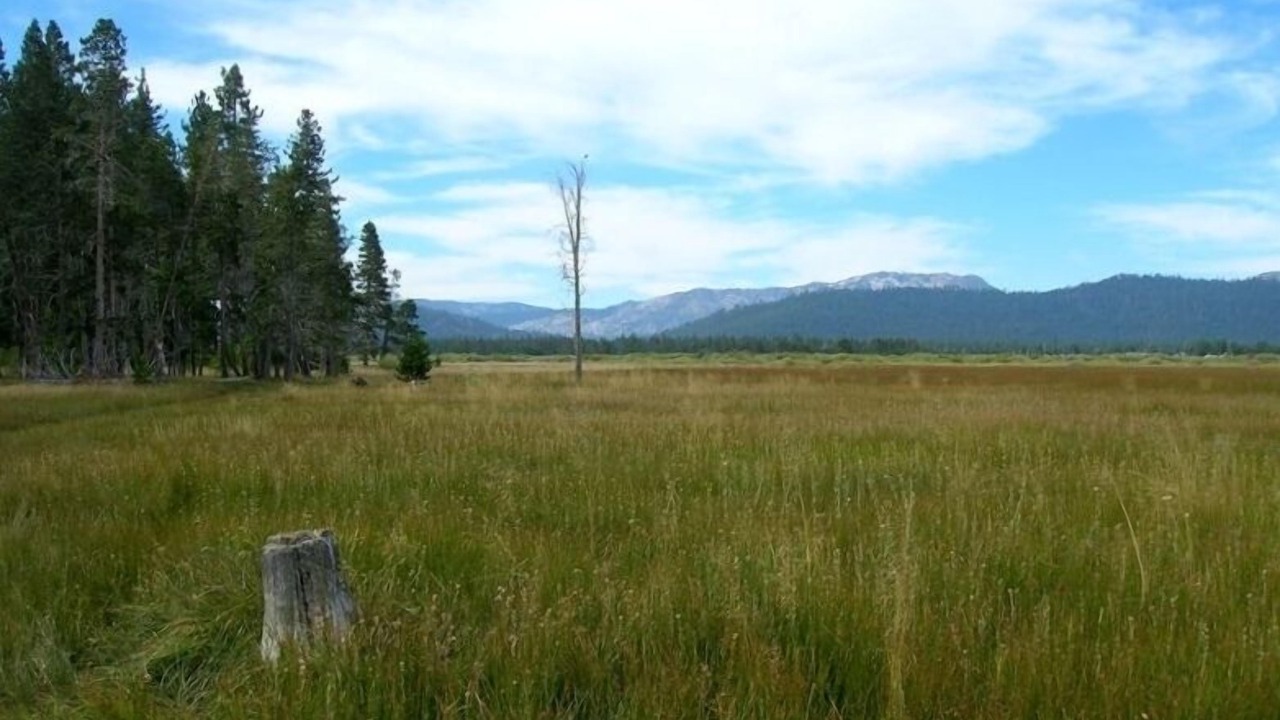 Photo of Others in Al Tahoe