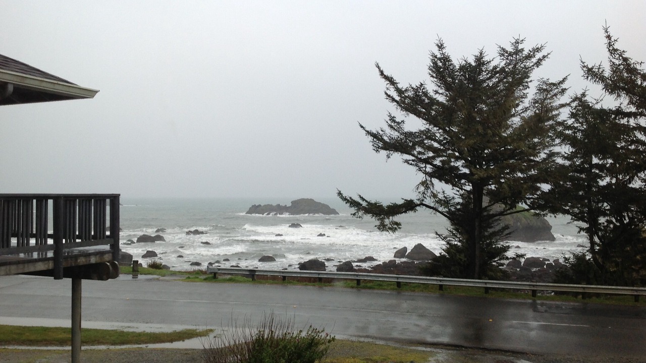 Photo of Others in Crescent City North