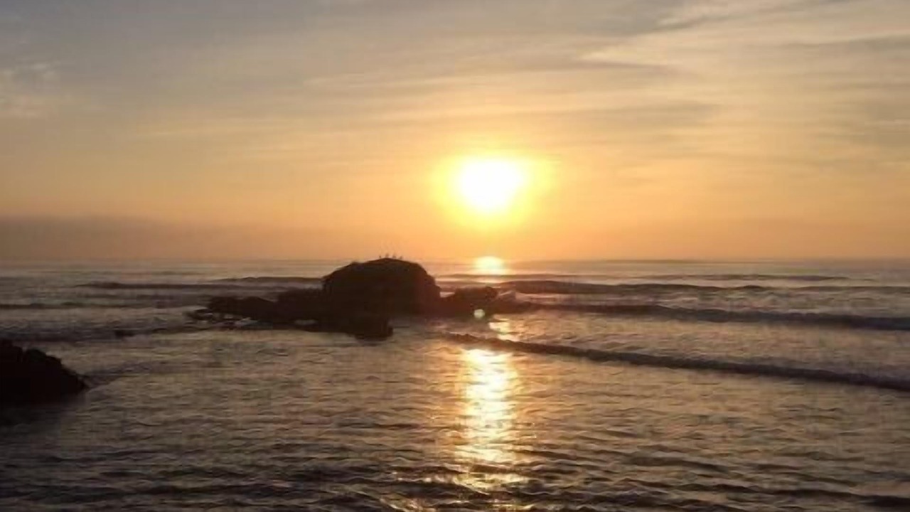 Photo of Others in La Jolla