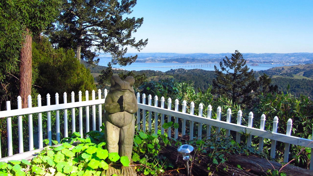 Photo of Others in Mill Valley