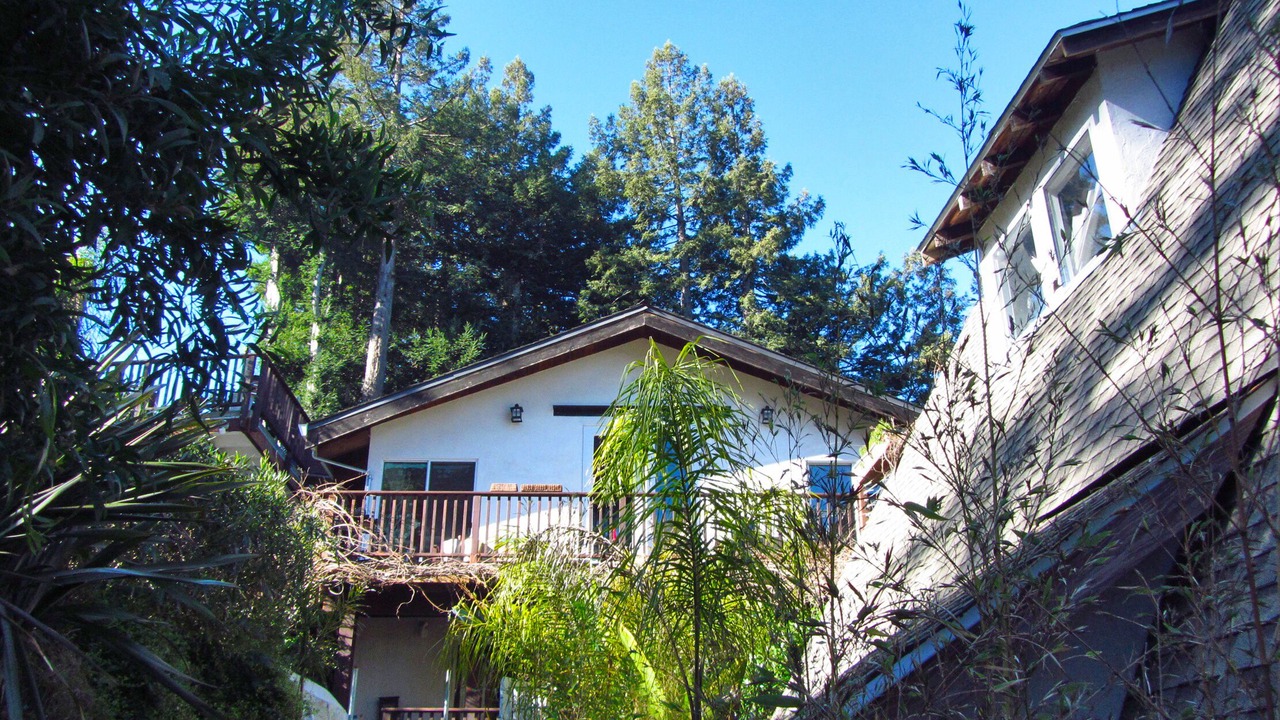 Photo of Outdoor in Mill Valley