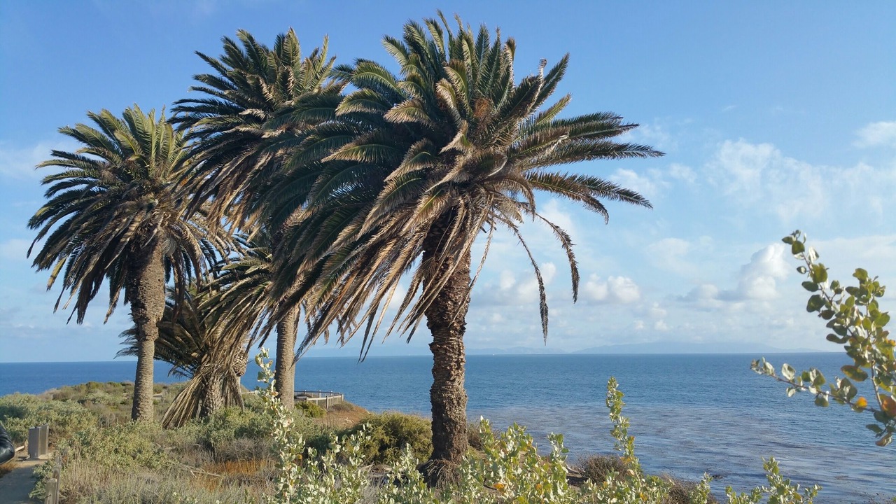 Photo of Others in Rancho Palos Verdes