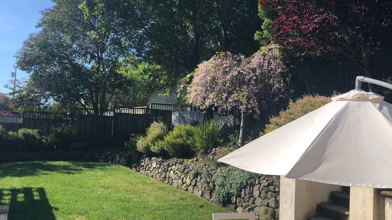 Photo of Outdoor in Emerald Hills