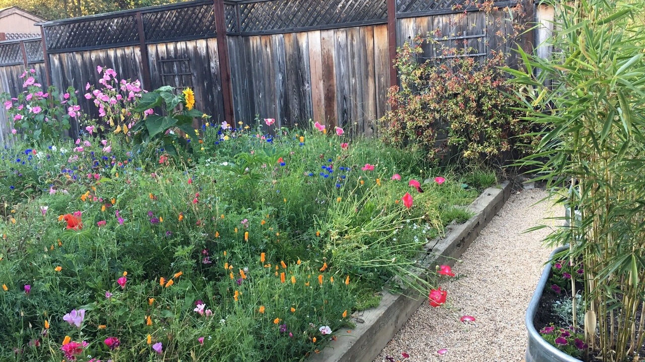 Photo of Outdoor in Stinson Beach